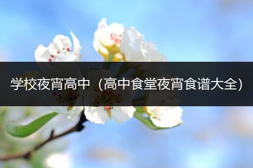 学校夜宵高中（高中食堂夜宵食谱大全）