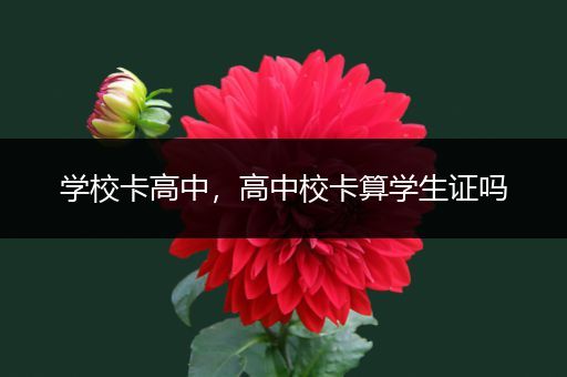 学校卡高中，高中校卡算学生证吗