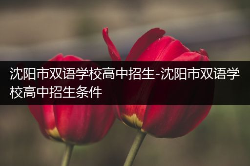 沈阳市双语学校高中招生-沈阳市双语学校高中招生条件