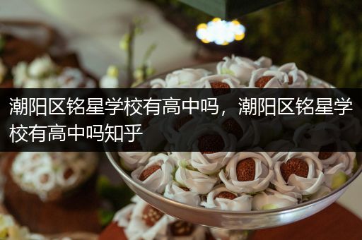 潮阳区铭星学校有高中吗，潮阳区铭星学校有高中吗知乎