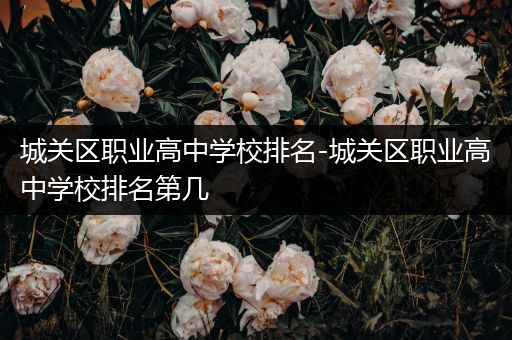 城关区职业高中学校排名-城关区职业高中学校排名第几