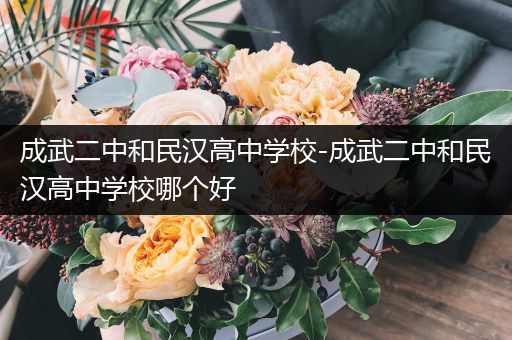 成武二中和民汉高中学校-成武二中和民汉高中学校哪个好