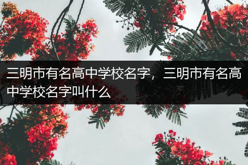 三明市有名高中学校名字，三明市有名高中学校名字叫什么