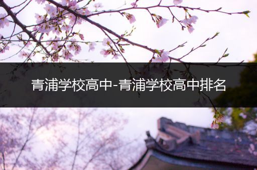青浦学校高中-青浦学校高中排名