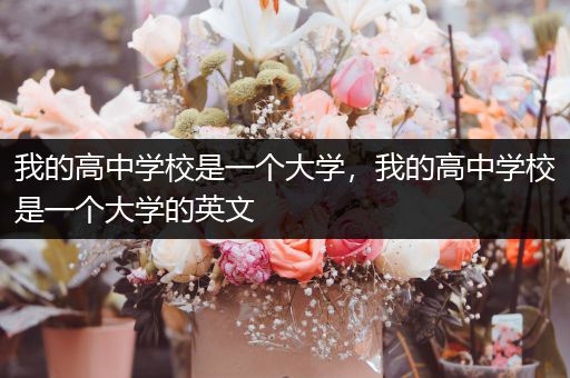 我的高中学校是一个大学，我的高中学校是一个大学的英文