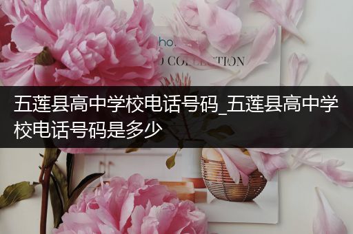 五莲县高中学校电话号码_五莲县高中学校电话号码是多少