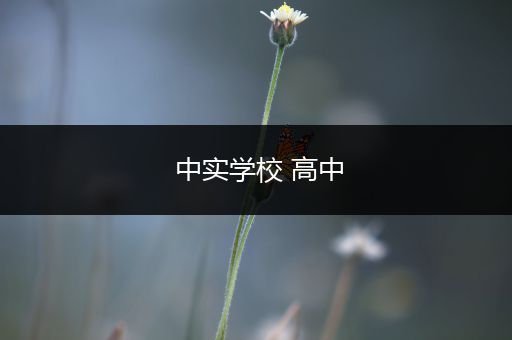 中实学校 高中