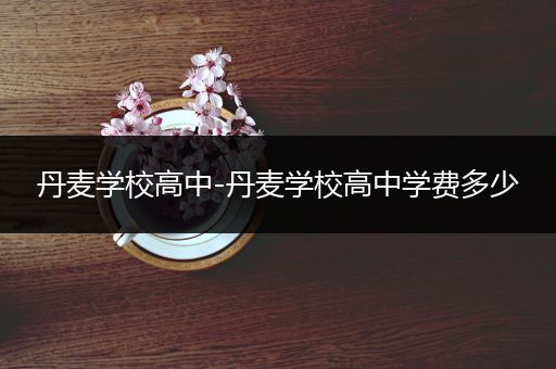 丹麦学校高中-丹麦学校高中学费多少
