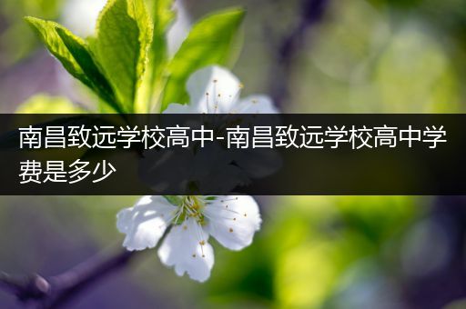 南昌致远学校高中-南昌致远学校高中学费是多少
