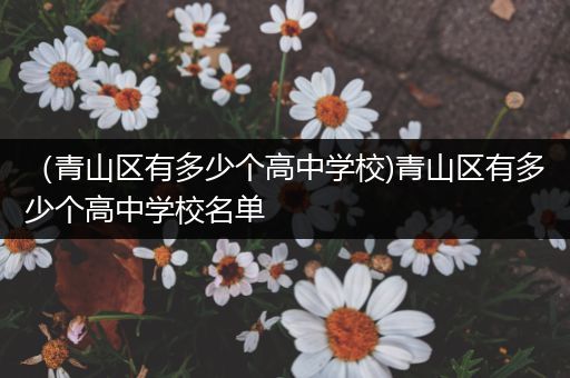 （青山区有多少个高中学校)青山区有多少个高中学校名单