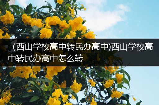 （西山学校高中转民办高中)西山学校高中转民办高中怎么转