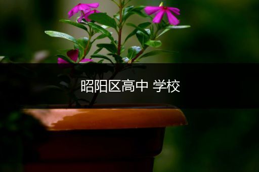 昭阳区高中 学校