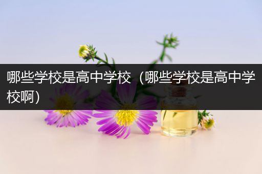 哪些学校是高中学校（哪些学校是高中学校啊）