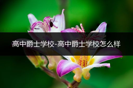 高中爵士学校-高中爵士学校怎么样