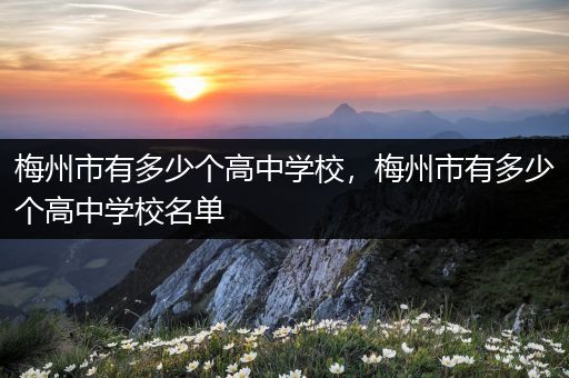 梅州市有多少个高中学校，梅州市有多少个高中学校名单