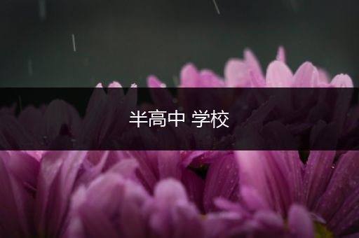 半高中 学校