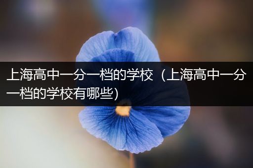 上海高中一分一档的学校（上海高中一分一档的学校有哪些）