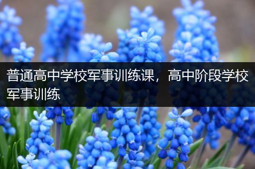 普通高中学校军事训练课，高中阶段学校军事训练