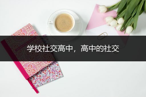 学校社交高中，高中的社交