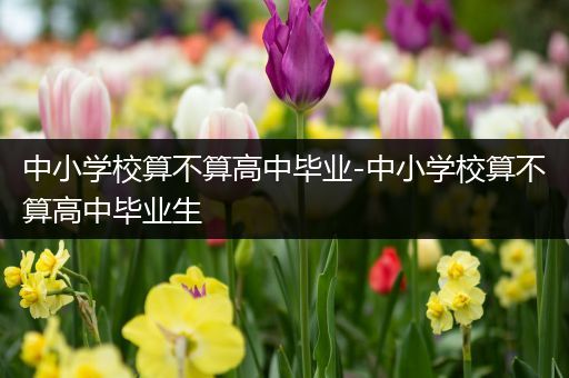 中小学校算不算高中毕业-中小学校算不算高中毕业生