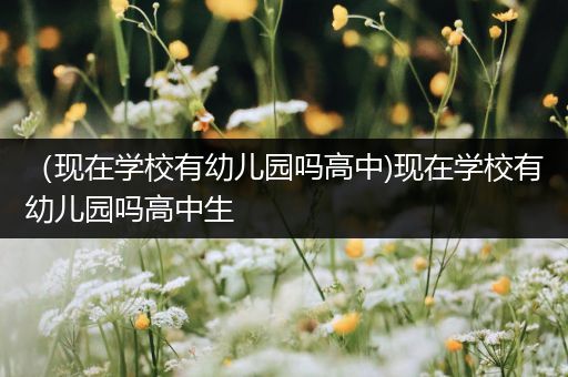 （现在学校有幼儿园吗高中)现在学校有幼儿园吗高中生