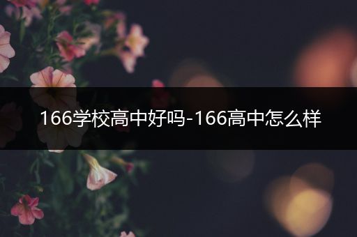 166学校高中好吗-166高中怎么样