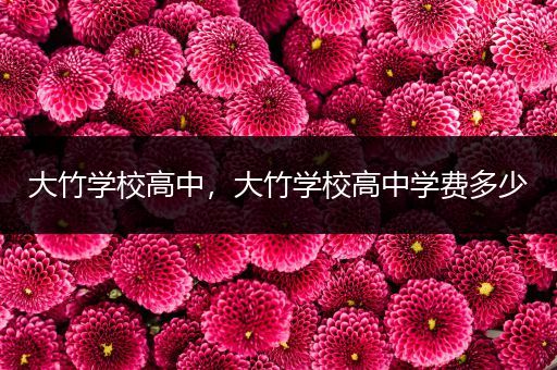 大竹学校高中，大竹学校高中学费多少