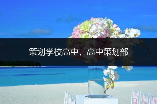 策划学校高中，高中策划部