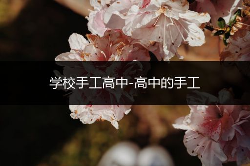 学校手工高中-高中的手工