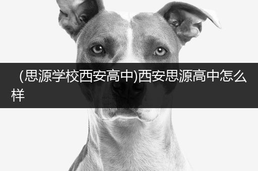 （思源学校西安高中)西安思源高中怎么样