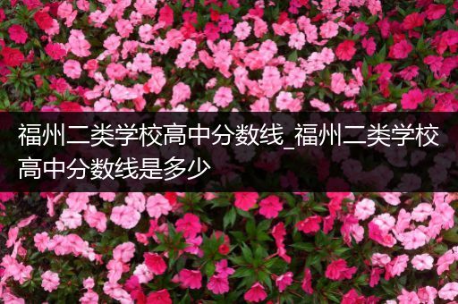 福州二类学校高中分数线_福州二类学校高中分数线是多少