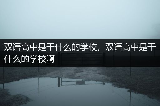 双语高中是干什么的学校，双语高中是干什么的学校啊