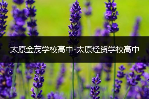 太原金茂学校高中-太原经贸学校高中