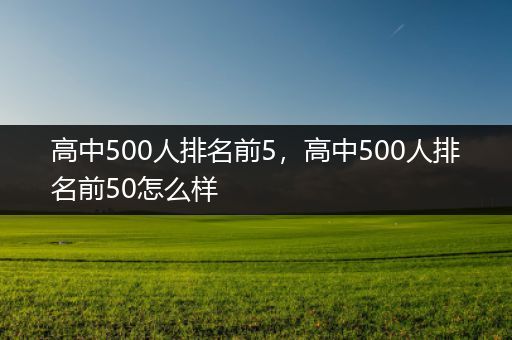 高中500人排名前5，高中500人排名前50怎么样