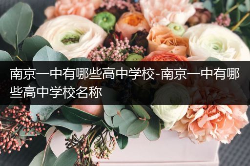 南京一中有哪些高中学校-南京一中有哪些高中学校名称