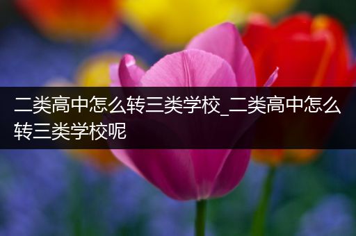 二类高中怎么转三类学校_二类高中怎么转三类学校呢