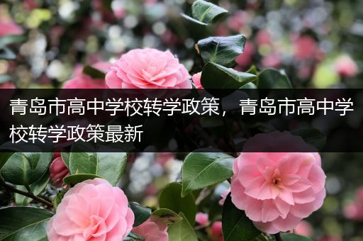 青岛市高中学校转学政策，青岛市高中学校转学政策最新