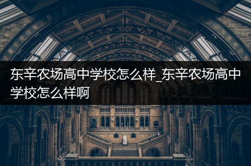 东辛农场高中学校怎么样_东辛农场高中学校怎么样啊