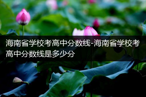 海南省学校考高中分数线-海南省学校考高中分数线是多少分