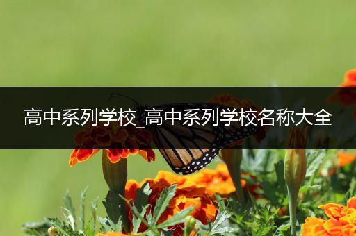高中系列学校_高中系列学校名称大全