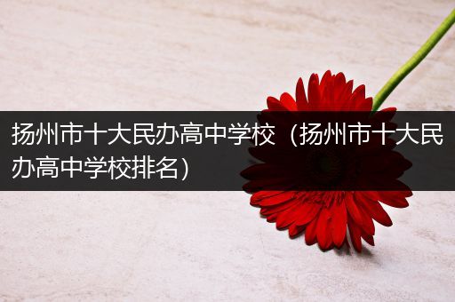 扬州市十大民办高中学校（扬州市十大民办高中学校排名）