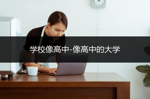 学校像高中-像高中的大学