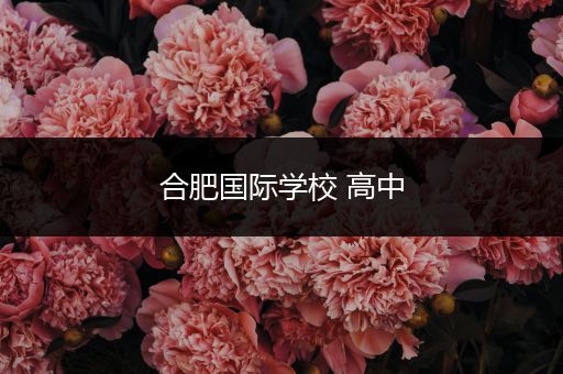 合肥国际学校 高中