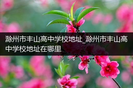 滁州市丰山高中学校地址_滁州市丰山高中学校地址在哪里
