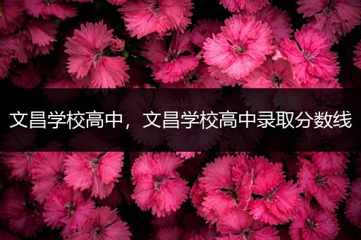 文昌学校高中，文昌学校高中录取分数线