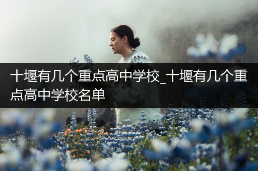 十堰有几个重点高中学校_十堰有几个重点高中学校名单