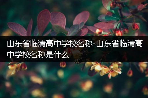 山东省临清高中学校名称-山东省临清高中学校名称是什么