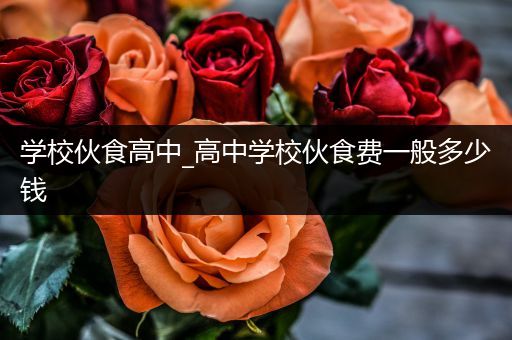 学校伙食高中_高中学校伙食费一般多少钱