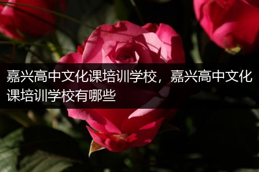 嘉兴高中文化课培训学校，嘉兴高中文化课培训学校有哪些