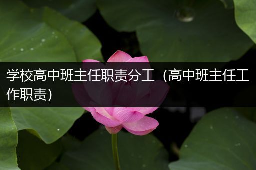 学校高中班主任职责分工（高中班主任工作职责）